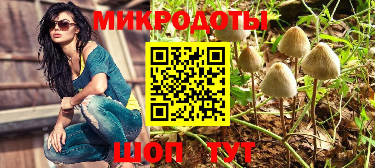 Галлюциногенные грибы Psilocybine cubensis Сосновый Бор