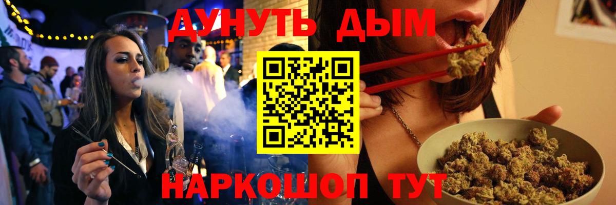 Сосновый Бор  Марихуана OG Kush  Вход с VPN  Каннабис план 
